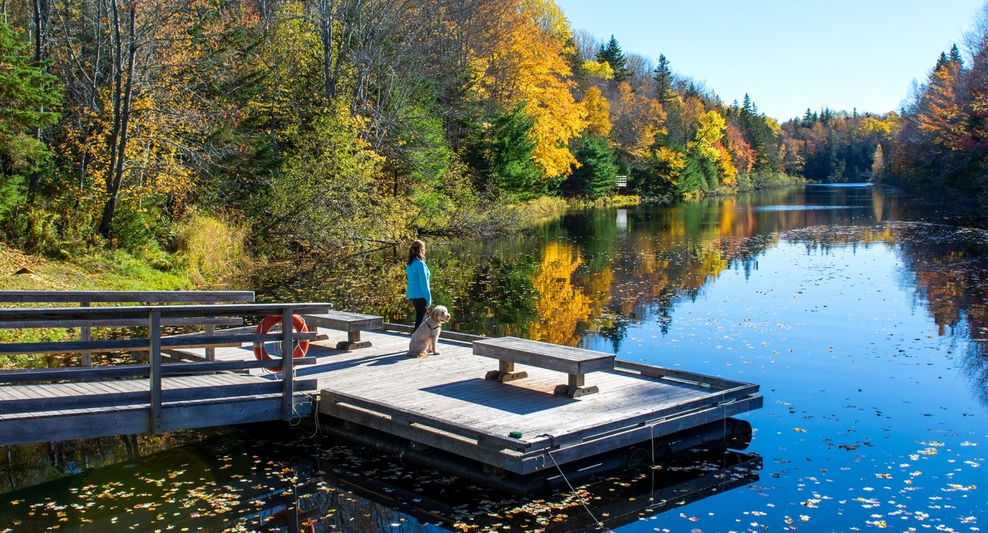 Mooneys Pond, dock, bench, water, forest